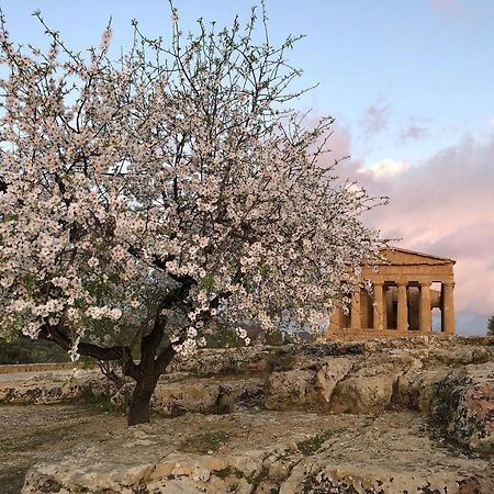 Alfa Quadro Bed & Breakfast Agrigento Bagian luar foto