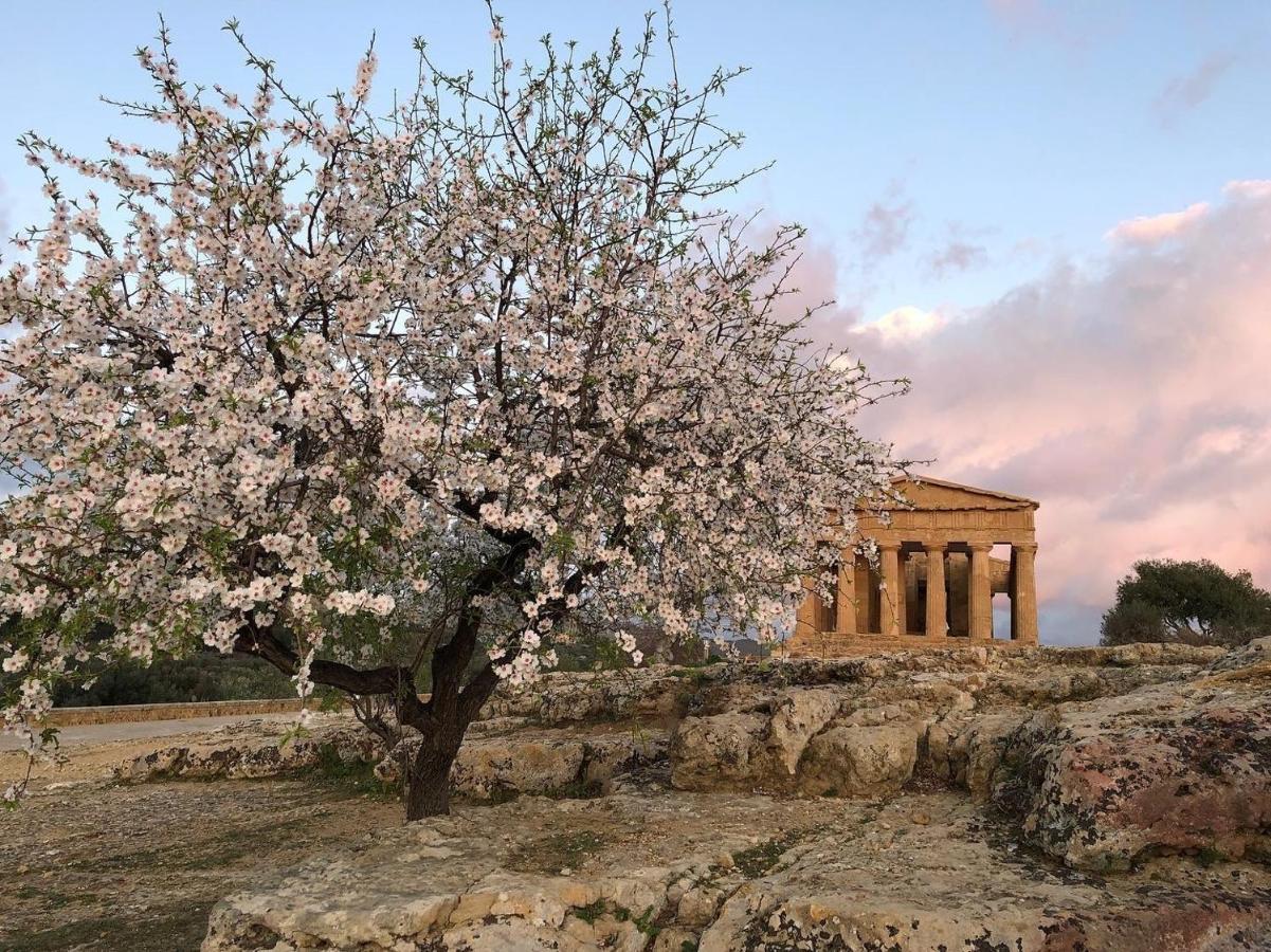 Alfa Quadro Bed & Breakfast Agrigento Bagian luar foto